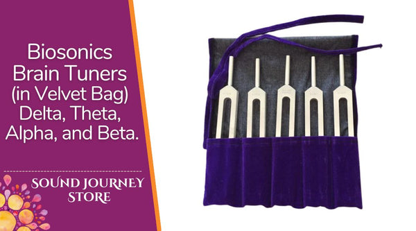 Biosonics Brain Tuners (in Velvet Bag) Delta, Theta, Alpha, and Beta.