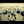 Load and play video in Gallery viewer, RAV Vast Drum B GOLDEN ARCADIA