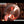 Load and play video in Gallery viewer, 28" Chau Gong 73 Hertz D2-10