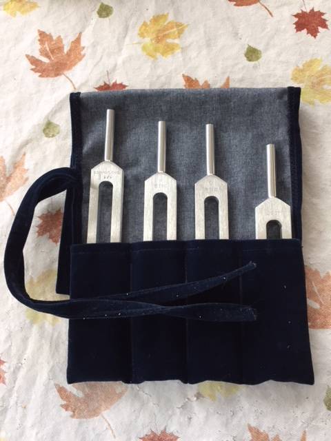 Biosonics Body Tuners - Leonardo Set (C F G A)