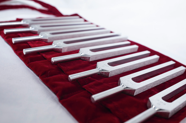 Biosonics - C MAJOR SCALE  "Solar Harmonic Set" (C D E F G A B C)