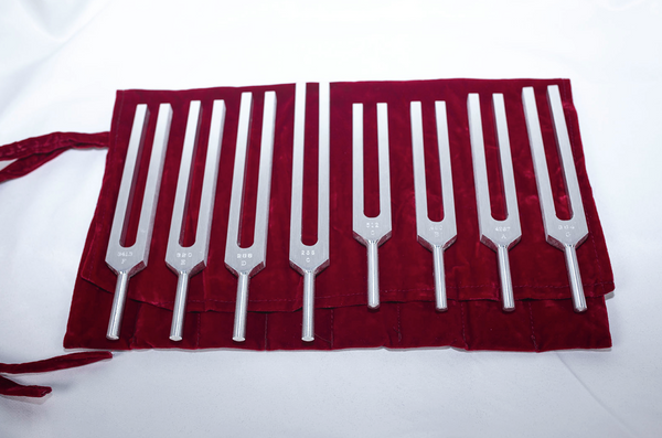 Biosonics - C MAJOR SCALE  "Solar Harmonic Set" (C D E F G A B C)