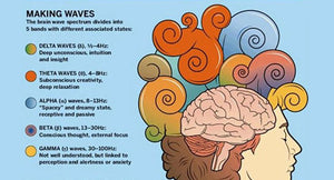 Brain Waves Explained