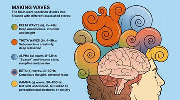 Brain Waves Explained