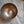 Bowl 838: 7.25