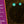 Individual B Love Professional Flumies