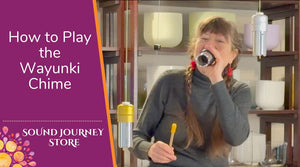 Video 1 trigger image