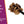 Kluwak Spice Nut Shaker