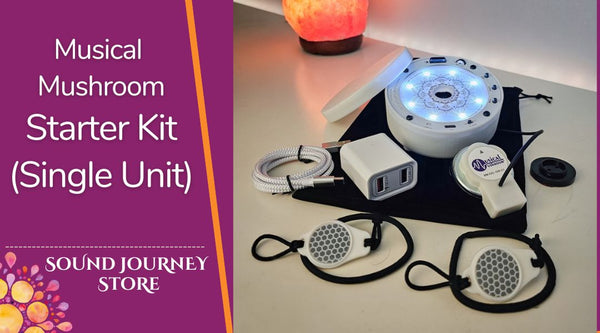 Musical Mushroom Starter Kit (single unit)