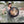 Load and play video in Gallery viewer, 22&quot; Shamanic Circle Music Vegan Tunable Hand Drum
